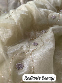 Lime Green Organza Silk Saree with Silver Cutdana & Sequins Stripes