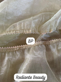 Lime Green Organza Silk Saree with Silver Cutdana & Sequins Stripes