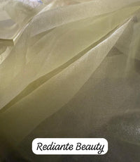 Lime Green Organza Silk Saree with Silver Cutdana & Sequins Stripes