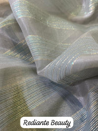 Pastel Green Tissue Organza Saree with Gold Zari & Floral Embroidery