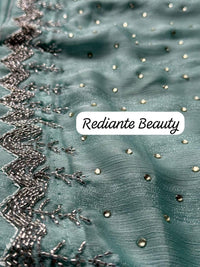 Premium Chiffon Saree with Silver Embellished Border