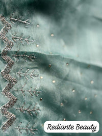 Premium Chiffon Saree with Silver Embellished Border