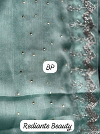 Premium Chiffon Saree with Silver Embellished Border