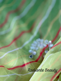 Enchanted Leheriya Bloom Georgette Saree – Silver Mirror & Cut Dana Embellishment