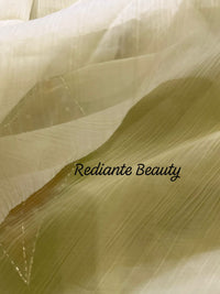 Light Green Chiffon Saree – Peacock Whisper Elegance