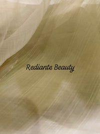 Light Green Chiffon Saree – Peacock Whisper Elegance