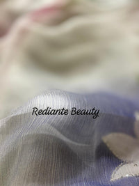 Off-White Chiffon Saree – Serenity Bloom in Pastel Symphony