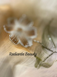 Off-White Chiffon Saree – Blush Bloom Elegance with Swarovski Detailing