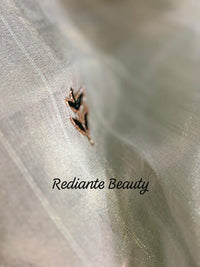 Sea Green Tissue Organza Saree – Golden Grace with Forest Green Detailing