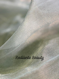 Sea Green Tissue Organza Saree – Golden Grace with Forest Green Detailing