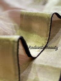 Light Pink Tissue Organza Saree – Purple Elegance with Golden Zari Glamour