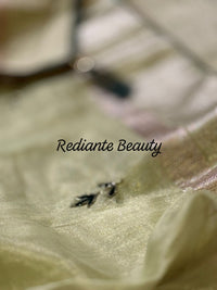 Pistachio Green Tissue Organza Saree – Forest Green Embellished Elegance