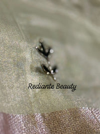 Pistachio Green Tissue Organza Saree – Forest Green Embellished Elegance