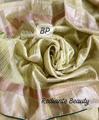 Pistachio Green Tissue Organza Saree – Forest Green Embellished Elegance