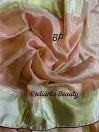 Peach Gold Tissue Organza Saree – Maroon Lining & Hand Embroidered Floral Motifs